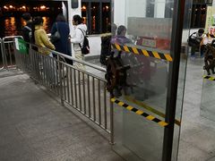 -珠江夜游省总码头