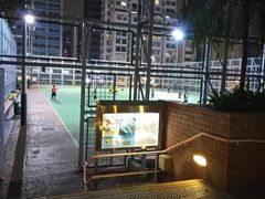 -九龙公园