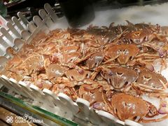 -韩京炭火烤肉自助料理(柯桥万达店)