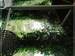 -侯臣咖啡文化村