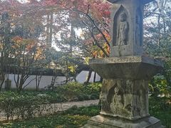 -汇龙潭