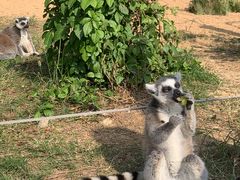 -杭州野生动物世界