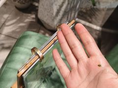 -春润大地海南椰子鸡(沙井京基百纳广场店)