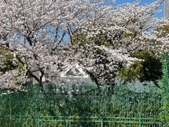 -新虹桥中心花园