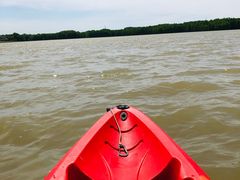 -上海海湾国家森林公园