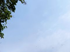 -滆湖低碳生态公园