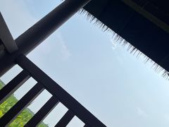 -西青郊野公园