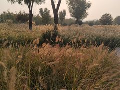 -汉长安城未央宫国家考古遗址公园