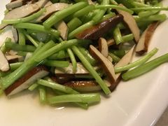 -丁老爷子苏香圆
