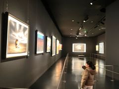 -罗红摄影艺术馆