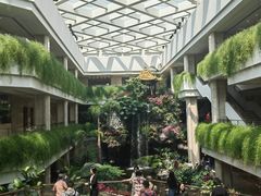 -广州白天鹅宾馆