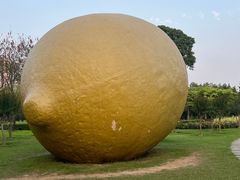 -顺峰山公园