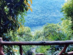 -缙云山景区