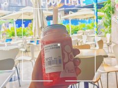 -野萃山·潮汕厚果汁(十亩地店)