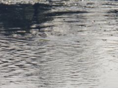 -贵阳市花溪国家城市湿地公园