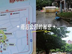 -兆祥公园