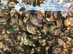 -山海经·海边人家 海鲜新青岛菜(扬州路店)