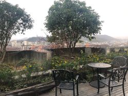 -罗亚帝·NASHOW纳秀形象设计