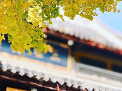-龙华寺