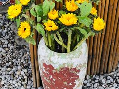 -云里小坐·小院里·团建·宴请·下午茶(三圣乡店)