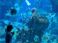 -哈尔滨波塞冬海底世界