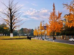 -蓝天清水湾国际大酒店