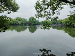 -西湖游船