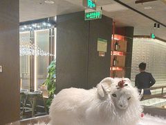 -百草滩羊清水涮羊肉·清真·宁夏盐池滩羊(莲花桥店)