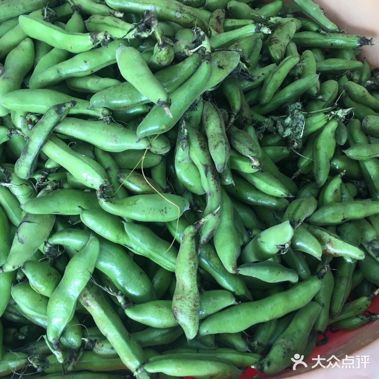 苏州人的家常菜之清炒蚕豆！