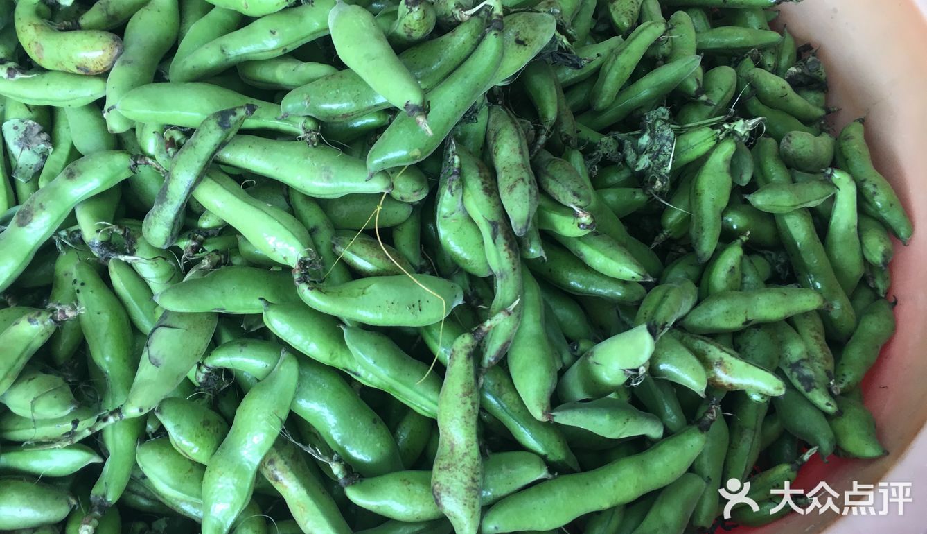 苏州人的家常菜之清炒蚕豆！