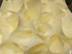 功夫土豆片-蜀大侠火锅(建设路第五大道店)