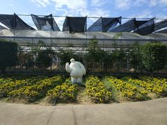 -广东花都香草世界旅游度假区
