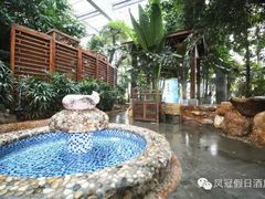 -德州凤冠假日酒店