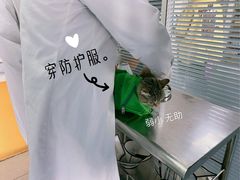 -瑞派福兴宠物医院犬猫全科·骨科·中西医结合(河东店)