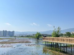 -洱海月湿地公园