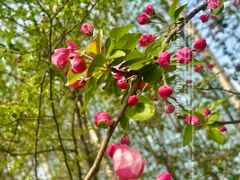 -元大都城垣遗址公园