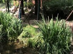 -白水寺森林公园