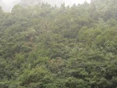 -山西通天峡景区