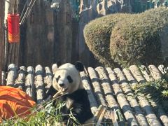 -大连森林动物园