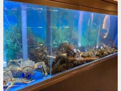 水产区-人杰鱼乐轩(珠江路店)