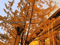 -欧记·龙城港(欣都店)