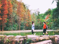 -云溪植物园