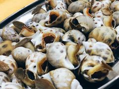 花螺-蚝专家(北滘店)