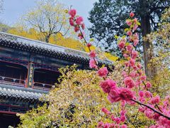 -潭柘寺景区