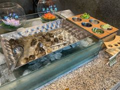 -金玛国宾酒店-自助西餐厅