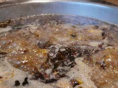 麻辣锅底-袁记串串香(新南门店)