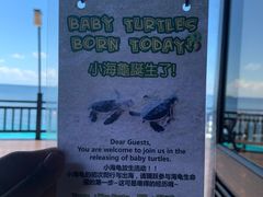 -马达京岛