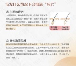 -Bollins波林丝•专研护发中心