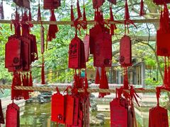 -大雁山风景区