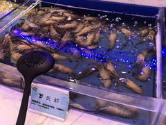 -澜悦港海鲜体验主题餐厅